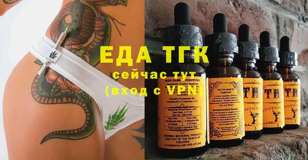 гашик Пестово