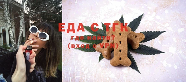 гашик Пестово