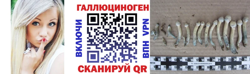 Галлюциногенные грибы мухоморы  Петрозаводск 